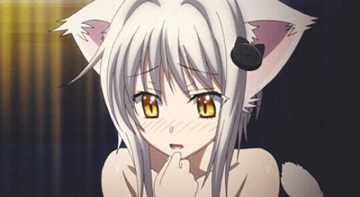 White Anime Cat Girl Porn - Who is the best catgirl/neko girl (50 - ) - Forums - MyAnimeList.net