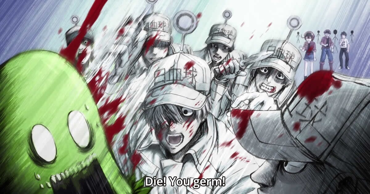 Sweet moment of Red blood cell and White blood cell, Cells at work, Hataraku  Saibou / Cells at Work!