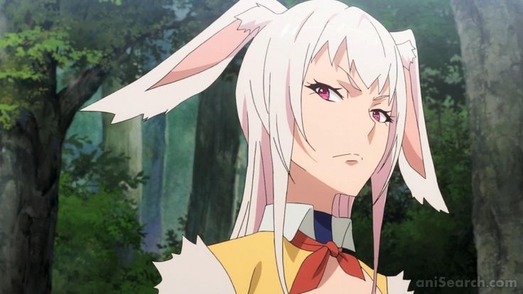 You Favorite Bunny Girl - Forums - MyAnimeList.net