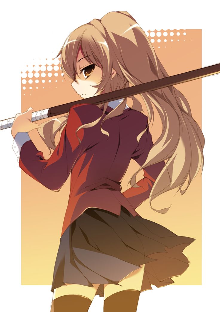 Who's the better Waifu? - Taiga Or Megumi : r/toradora