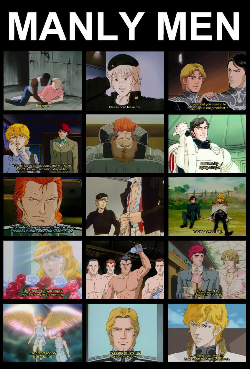 Heterophobia Fansub - Legend of the Galactic Heroes