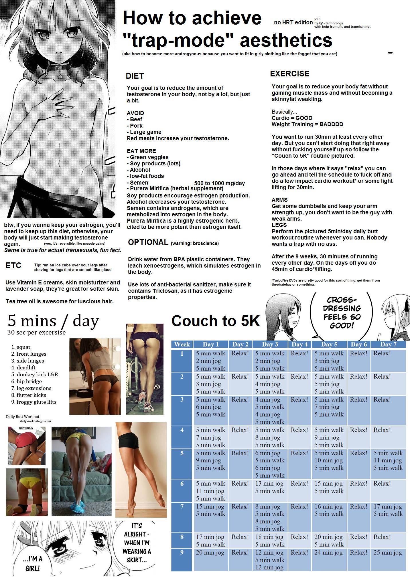 Anime Guide To Traps, Anime / Manga