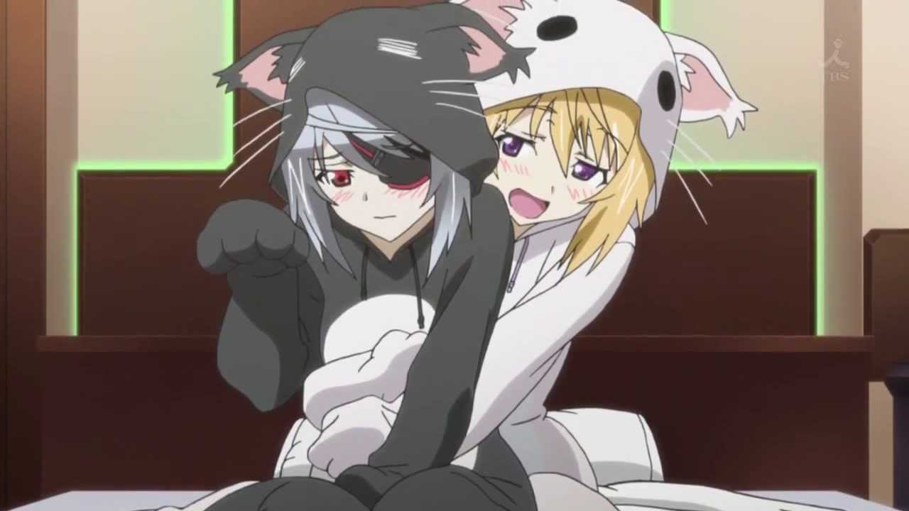 Cat Costume Infinite Stratos Porn - Infinite stratos cat costume - Nude Images