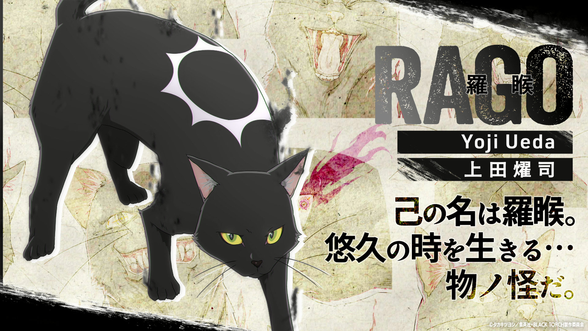 Cast Announced - Forums - MyAnimeList.net